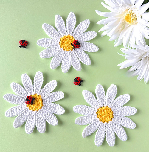 Daisy Applique