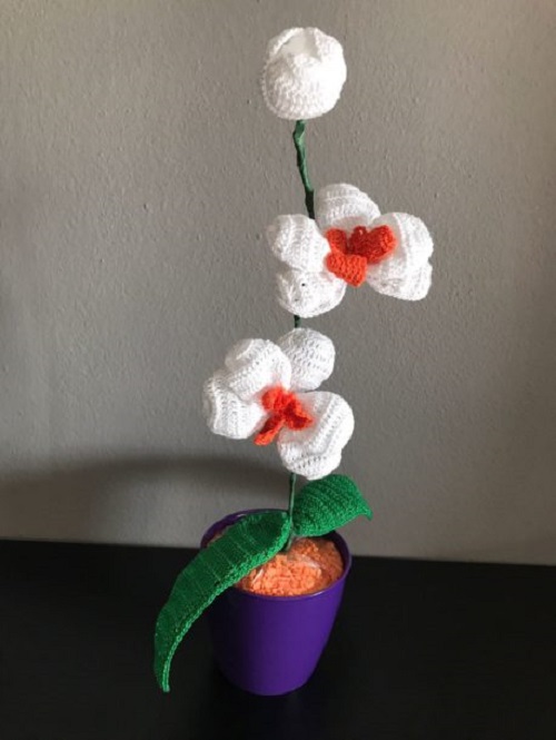Crochet Orchid