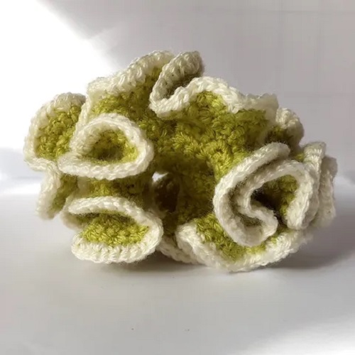 Crochet Coral Reef Free Patterns 2