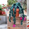 8 Christmas Cactus Free Crochet Patterns and Ideas