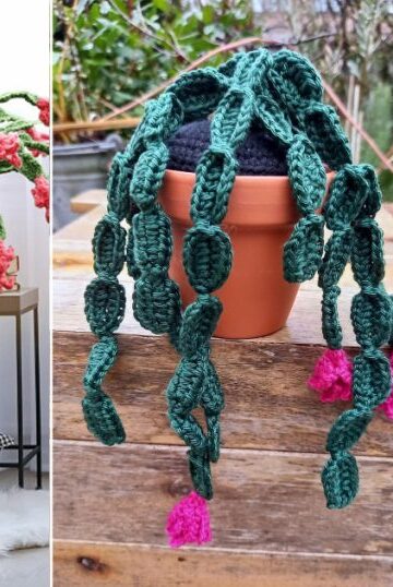 8 Christmas Cactus Free Crochet Patterns and Ideas