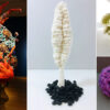 10 Coral Reef Free Crochet Patterns