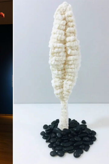 10 Coral Reef Free Crochet Patterns