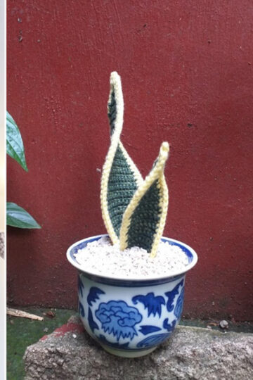 10 Snake Plants Free Crochet Patterns