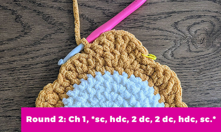 round 2 petals example