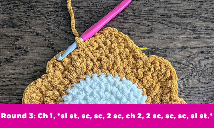 round 1 petals example