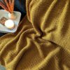Housewarming Blanket Free Crochet Pattern