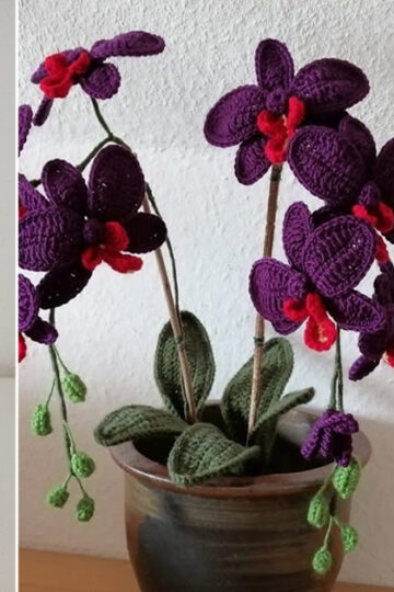 9 Crochet Orchid Free Patterns