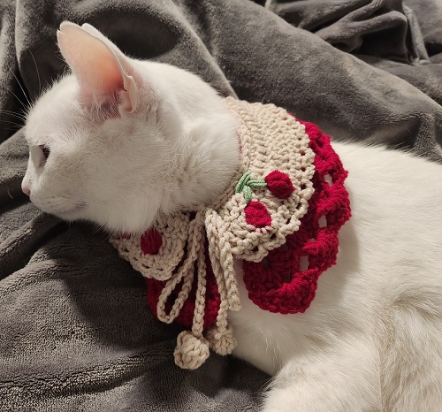 DIY Pet Collar Free Crochet Patterns Ideas