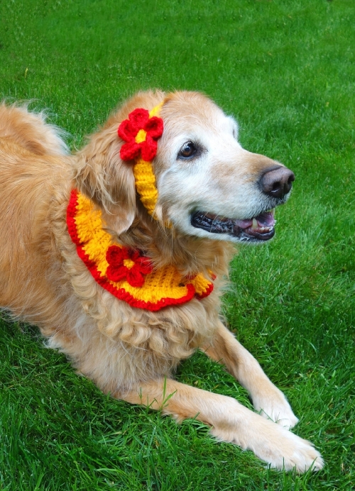 Crochet Dog Frilly Collar