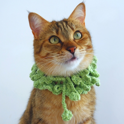 Finn Shamrock Wreath Cat Collar