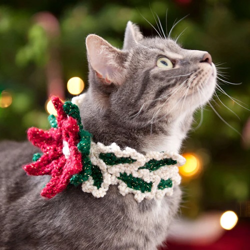 Pet Collar Free Crochet Patterns 1