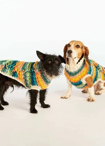 13 Pet Sweater Free Crochet Patterns - Crocht