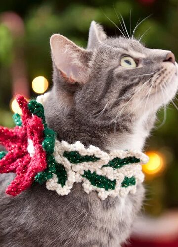 14 Pet Collar Free Crochet Patterns - Crocht