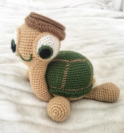 Adorable Baby Turtle