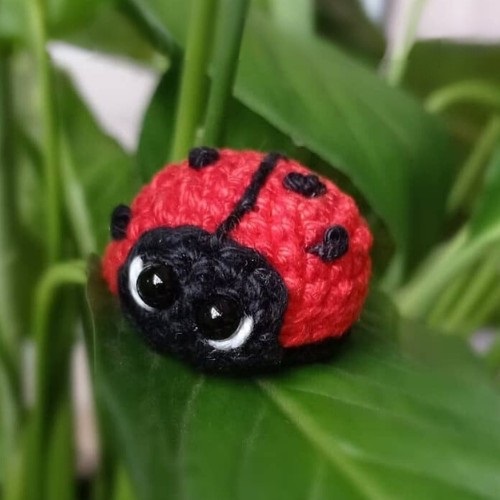 Cute Crochet Ladybug Amigurumi
