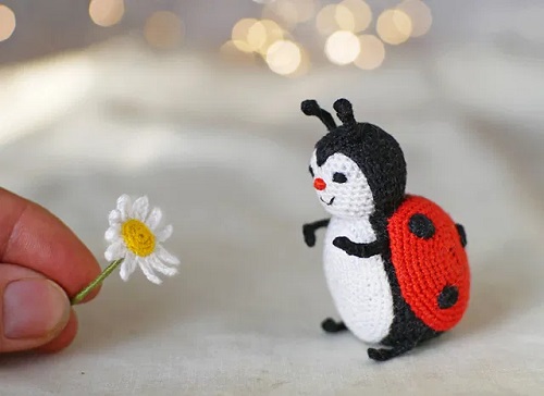 Cute Miniature Ladybug