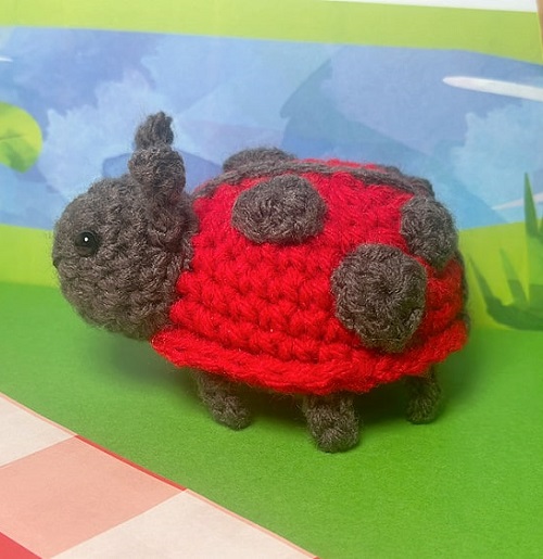 Turtle-Styled Ladybug Amigurumi