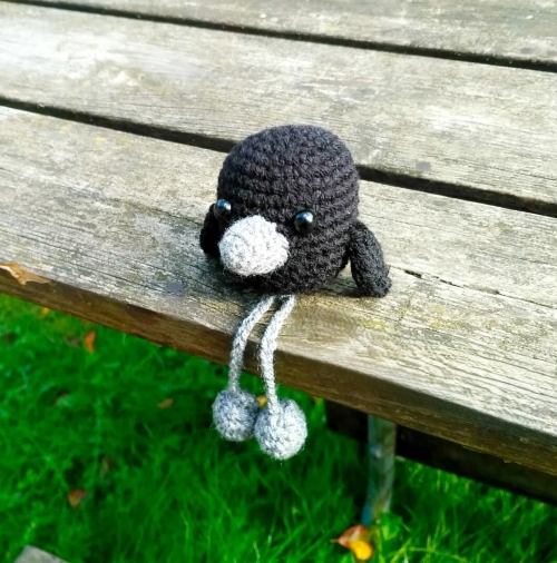 Tiny Black Bird with Long Legs