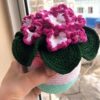 7 Crochet African Violet Free Patterns