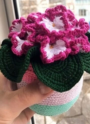 7 Crochet African Violet Free Patterns