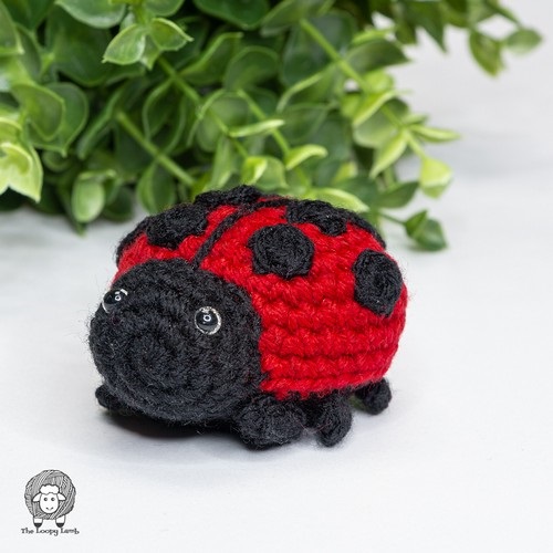 Sweet Amigurumi Ladybug