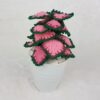 10 Free Crochet Indoor Plant Patterns with Beautiful Foliage