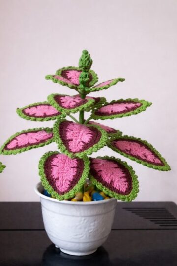 7 Coleus Free Crochet Patterns