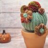 15 Crochet Flowering Cactus Free Patterns