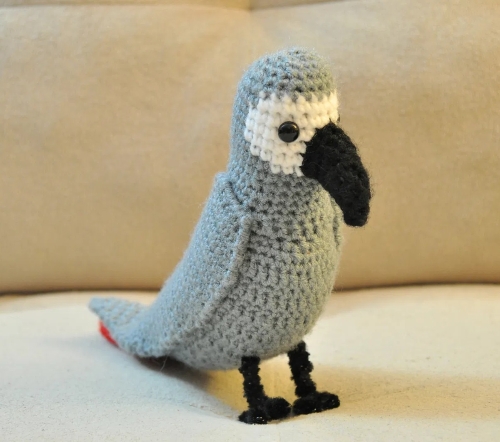 African Grey Parrot