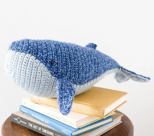 Baby Humpback Whale