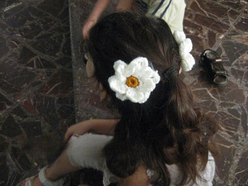 crochet daisy clips