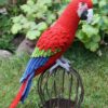 14 Crochet Parrot Free Patterns