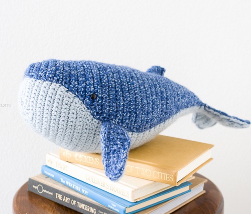 Sea Creatures 4