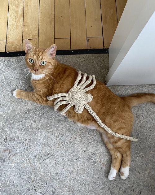 Facehugger alien
