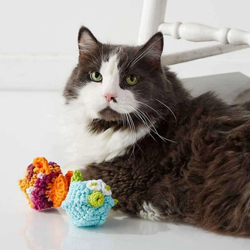 Stuffy Cat Toys