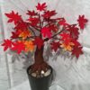 12 Crochet Bonsai Tree Free Patterns