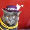 14 Crochet Cat Hat Free Patterns